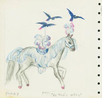 Horse Trappings