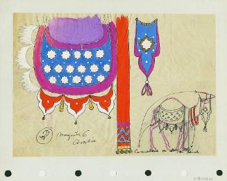 Camel Blanket and Trappings