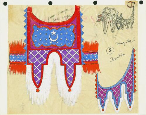 Camel Blanket and Trappings