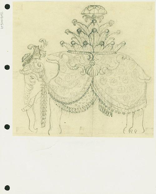 Elephant Costume