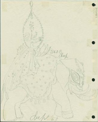Elephant Costume