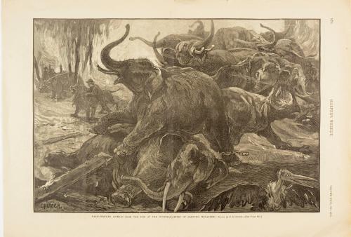 Panic Stricken Animals from the fire at the winter quarters of Barnum's Menagerie