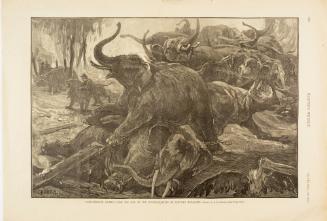 Panic Stricken Animals from the fire at the winter quarters of Barnum's Menagerie