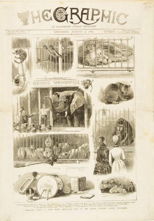 The Graphic illustrated cover