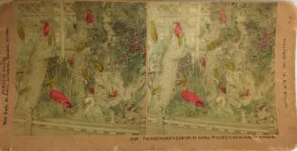 8738. Pennsylvannia's Exhibit of Birds, World's Columbian Exposition