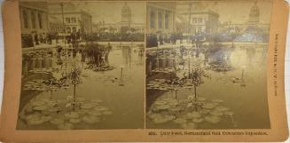 8395. Lilly Pond, Horicultural Hall. Columbian Exposition