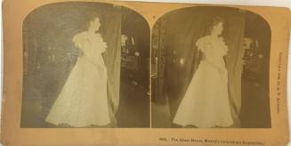 8630. the Glass Dress, World's Columbian Exposition