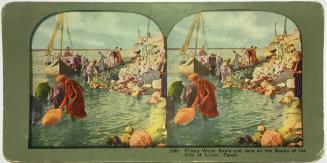 1385. Filling Water Skins and Jars on the Banks of the Nile at Luxor, Egypt.