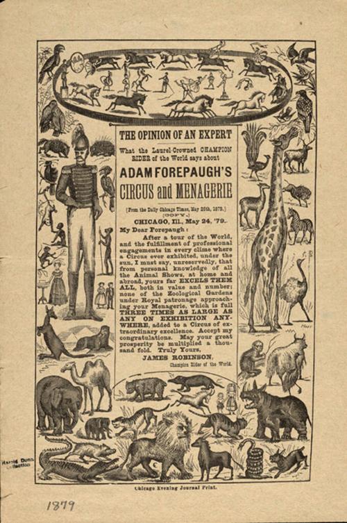 Print of Letter from James Robinson to Adam Forepaugh