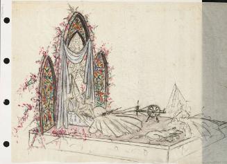 Sleeping Beauty Float