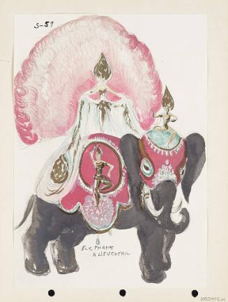 Elephants and Elephant Girls