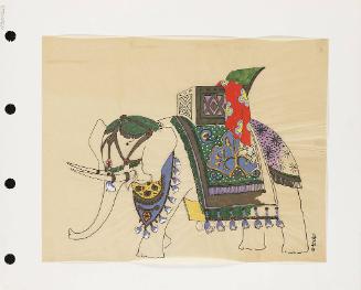 Elephant Trappings