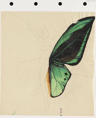 Winged Costume