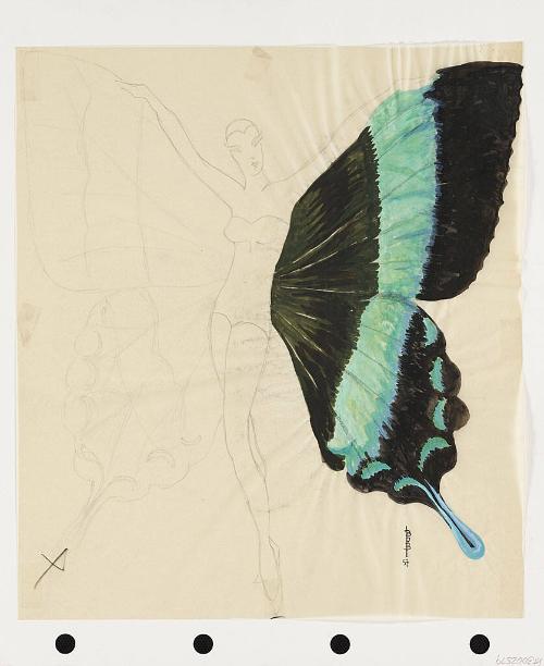 Winged Costume