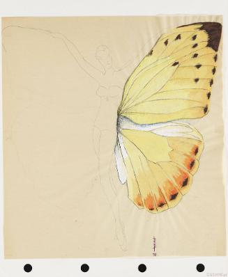 Winged Costume