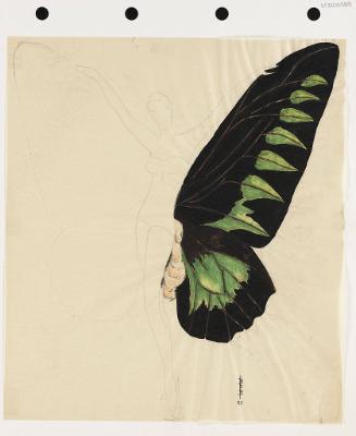 Winged Costume