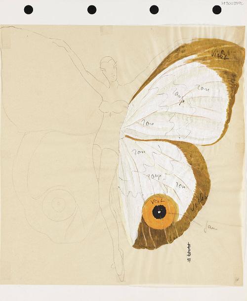 Winged Costume