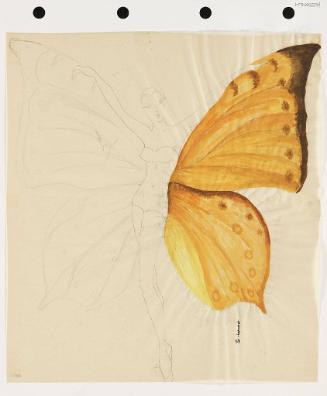 Winged Costume