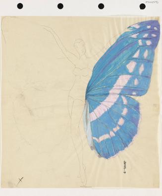 Winged Costume
