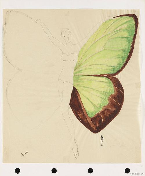 Winged Costume