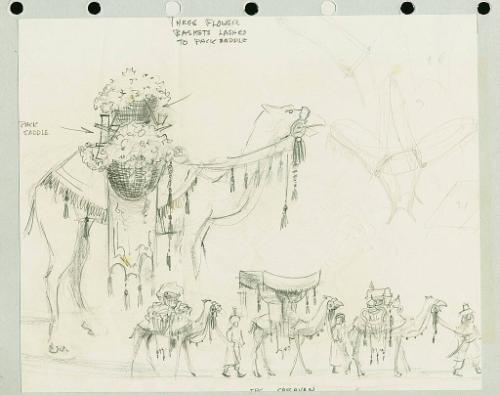 Camel Caravan