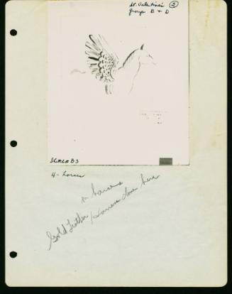 Group B - Drawing B3 - 2 Horses AND Group D - Drawing B3 - 2 Horses