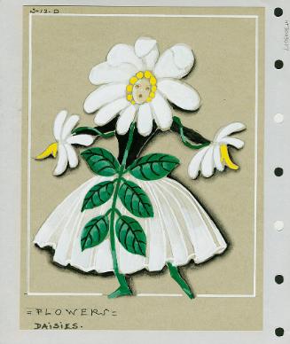 Daisy