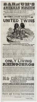 Barnum, P.T. The Latest Novelty. The Celebrated African United Twins
