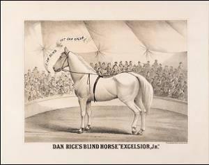 Dan Rice’s Blind Horse “Excelsior, Jr.”