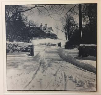 Winter in the country