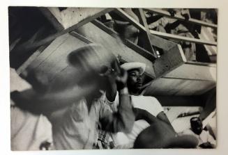Watching cockfight, Haiti