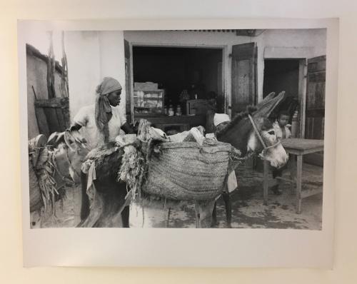 Market woman and donkeys, Haiti