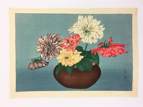 Dahlias