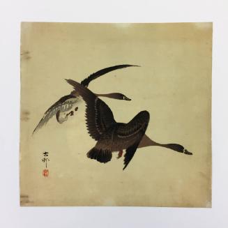 Geese in Flight