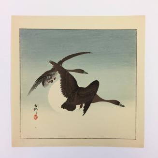Geese in Flight