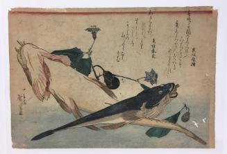 Flatheads and Eggplant, from an untitled series known as Large Fish