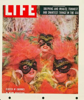 Masked Headresses