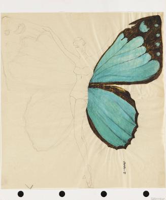 Winged Costume