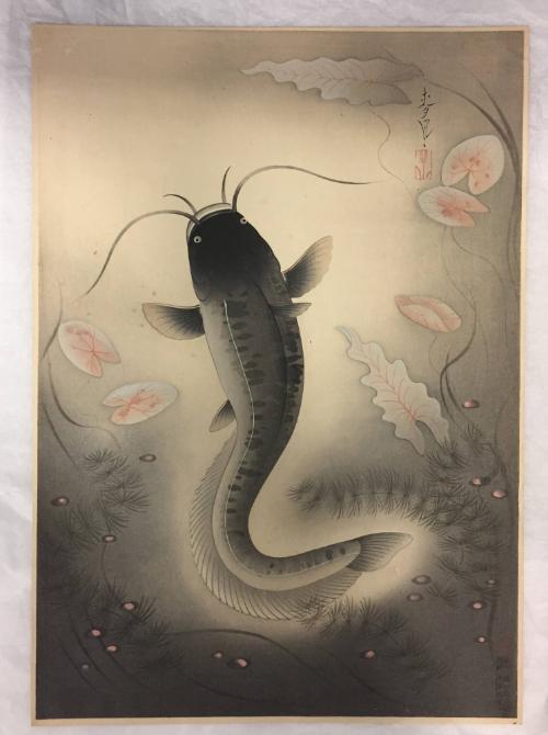 Catfish, Number 3 from the 2nd Installment of the series Picture Collection of Fish Species of Greater Japan