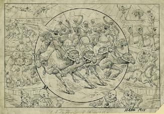 Haag: Camel Race