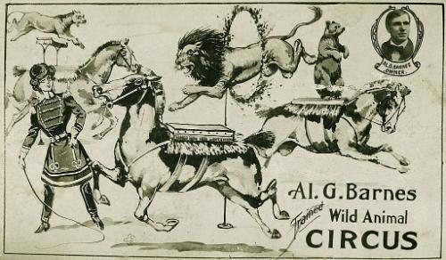 Al. G. Barnes Circus: Lion and Horse Act
