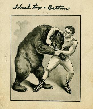 Bear Wrestling