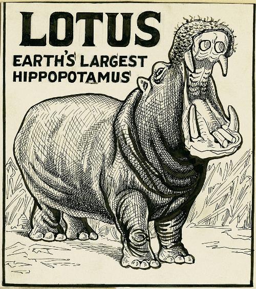 Lotus