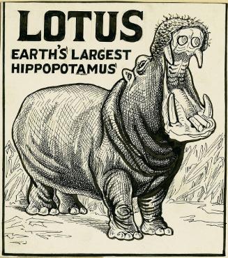 Lotus