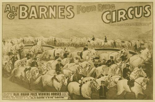 Al. G. Barnes Circus: Blue Ribbon Prize Winning Horses