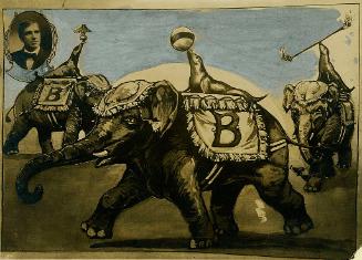 Seal and Elephant Act