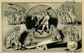 Al. G. Barnes Circus: Zebra Act