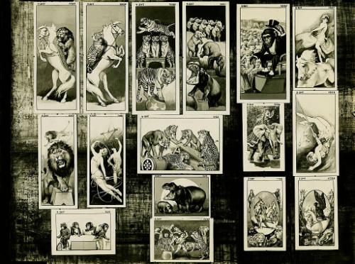 Contact Sheet of Poster Designs