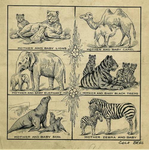 Cole Bros.: Mother and Baby Animals