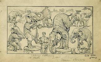 Sun Bros.: Elephant Act